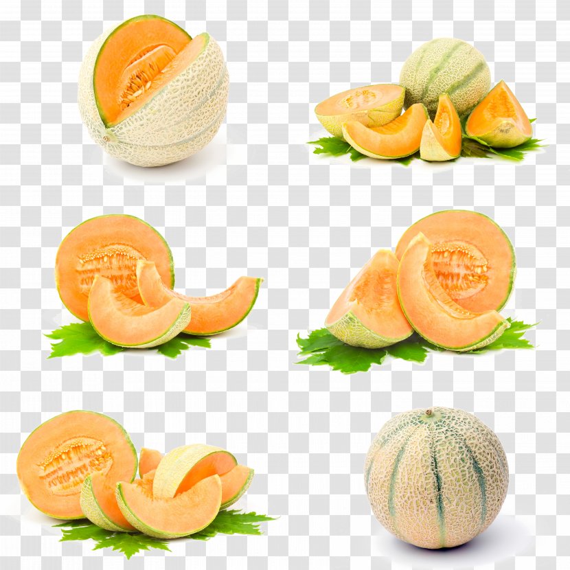 Hami Melon Honeydew Galia Santa Claus Cantaloupe - Watermelon - Six Different Forms Of Transparent PNG