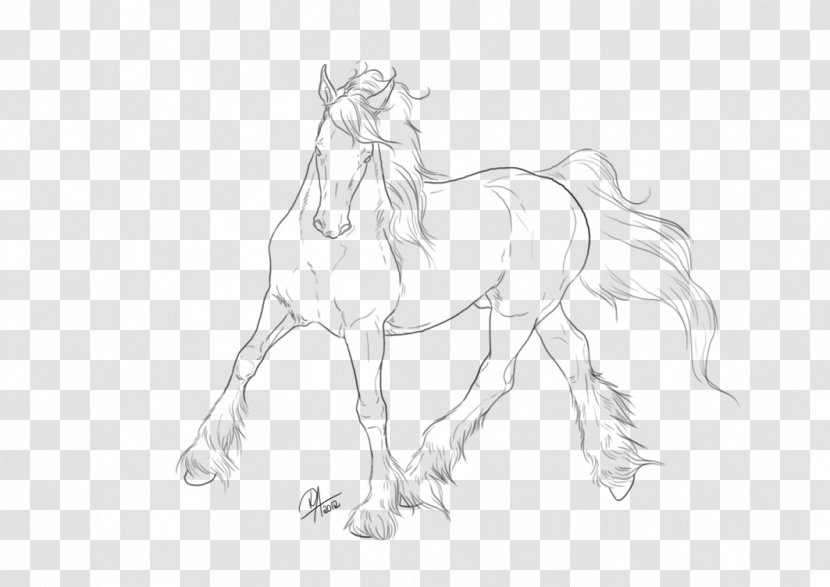 Gypsy Horse Mane DeviantArt Sketch - Mustang Transparent PNG