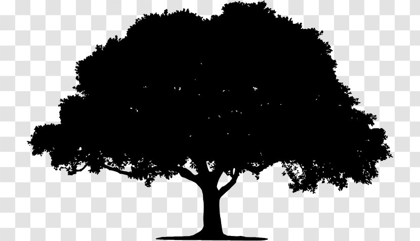 Tree Silhouette Clip Art - Plant - Black And White Transparent PNG