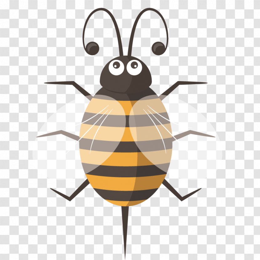 Bee Euclidean Vector - Pest - Cute Cartoon Transparent PNG