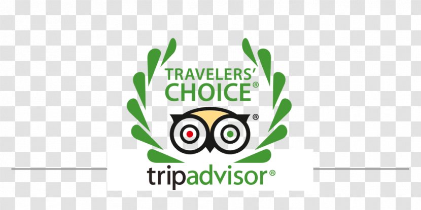 Hotel TripAdvisor Bed And Breakfast Travel Accommodation - Bird Transparent PNG