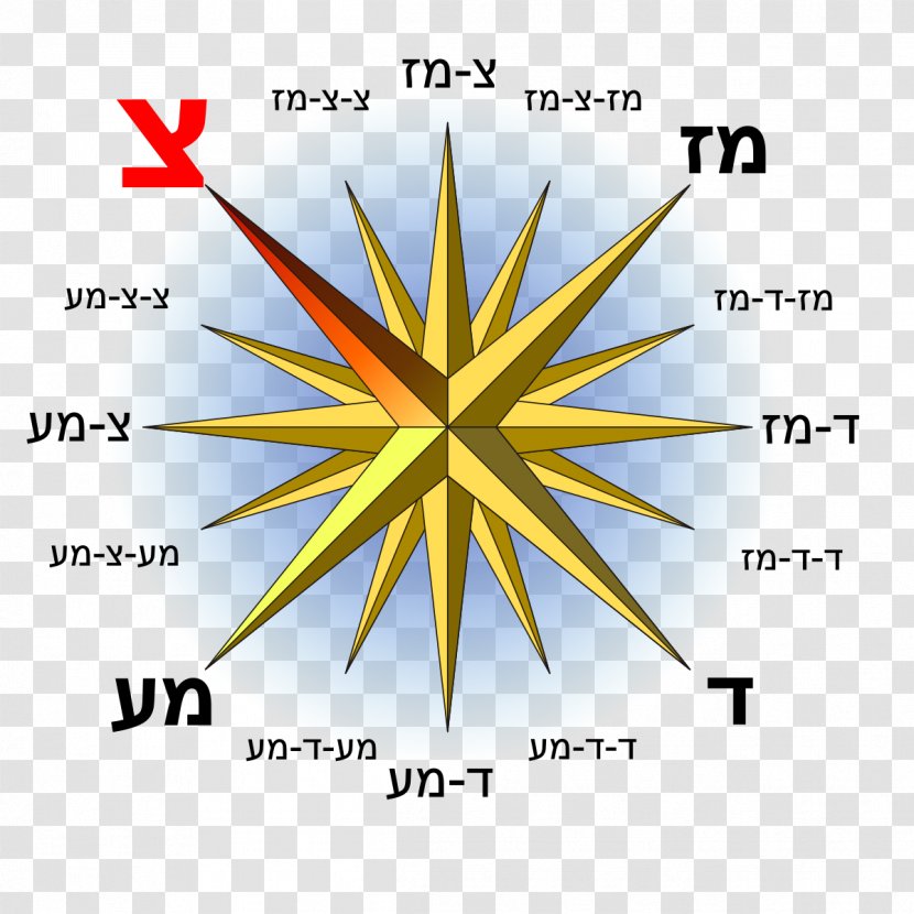 Compass Rose Wikimedia Commons - Organism Transparent PNG