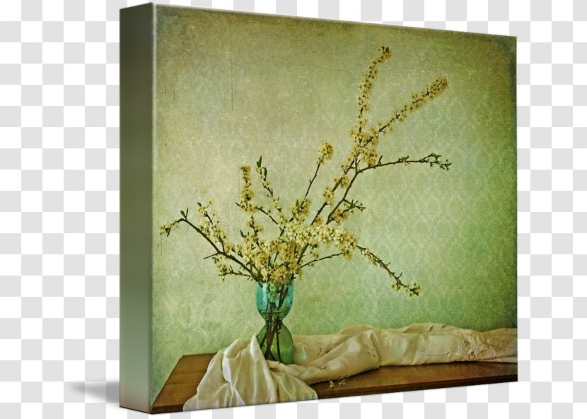 Still Life Photography Gallery Wrap Canvas - Turquoise - Watercolor Transparent PNG
