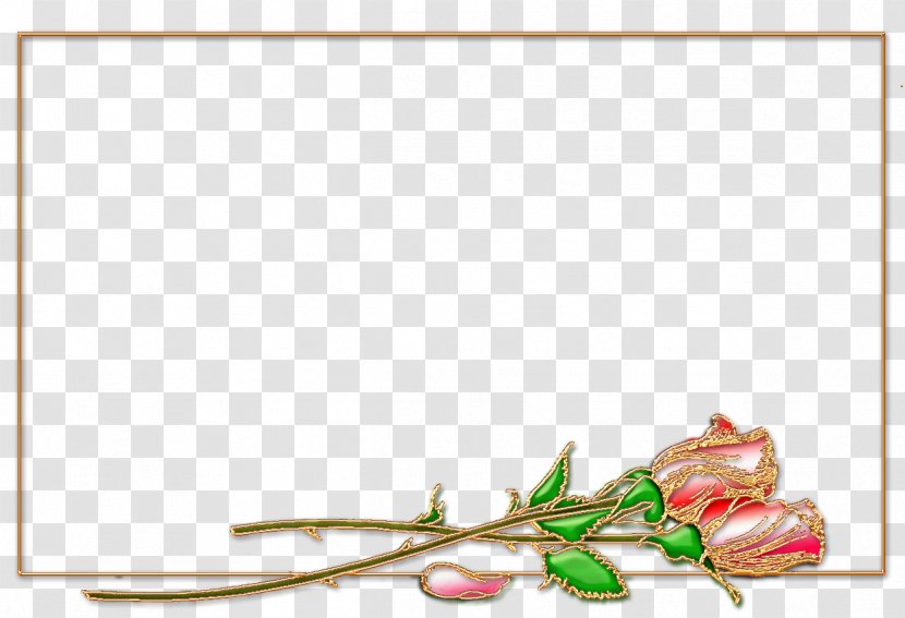 Picture Frames Desktop Wallpaper - Body Jewelry - Flowering Plant Transparent PNG