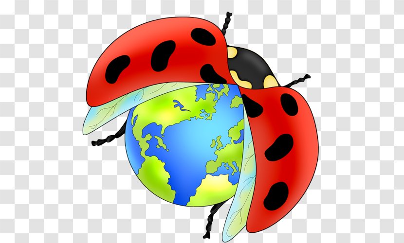 Ladybird Beetle Seven-spot Clip Art Transparent PNG