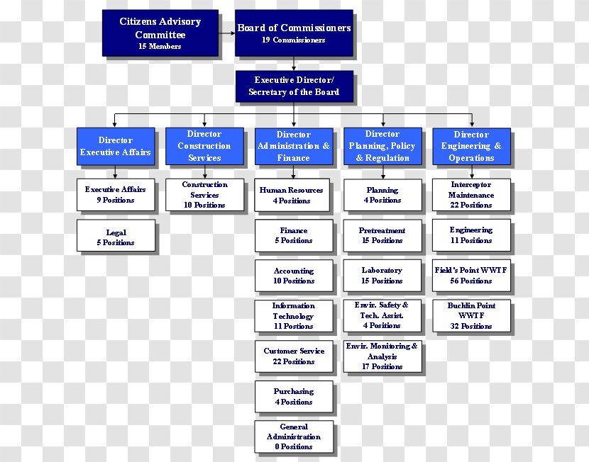 Organizational Chart Structure Hierarchical Organization - Area - Business Transparent PNG