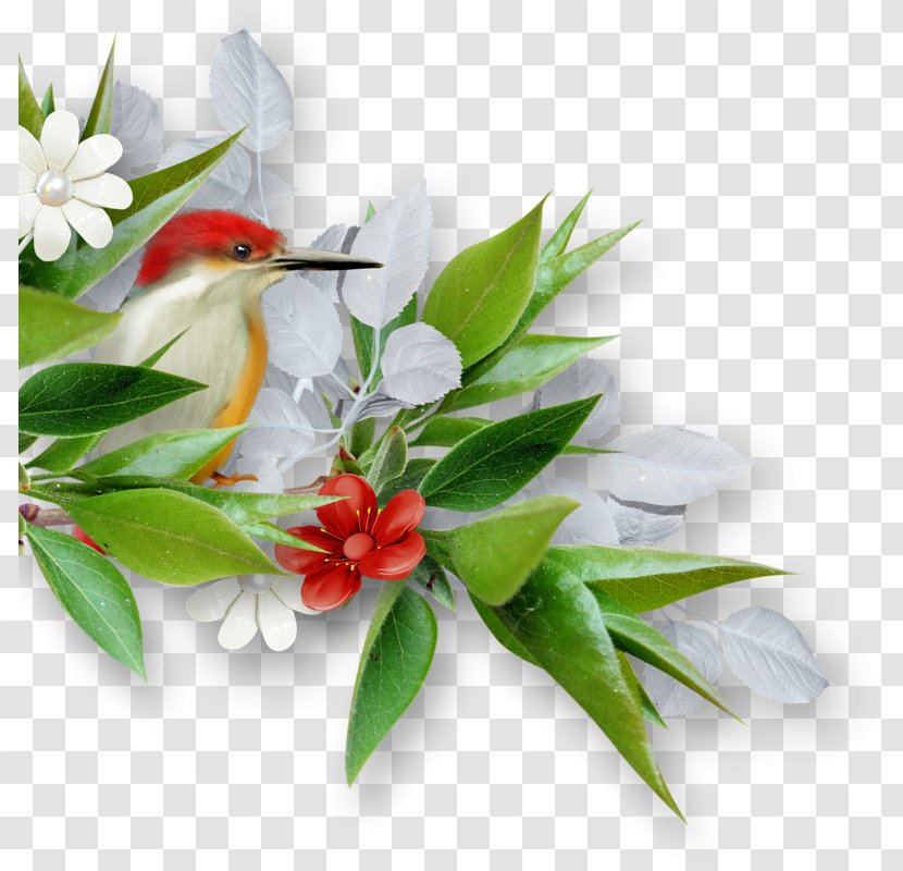 Flower Animation Wallpaper - Hummingbird - Flowers Floral Decorations Transparent PNG