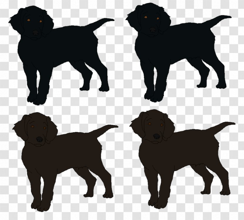 Labrador Retriever Flat-Coated Puppy Dog Breed Companion - Crossbreed Transparent PNG