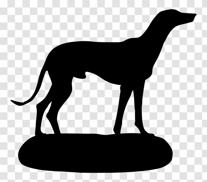 Italian Greyhound Whippet Sloughi Spanish - Saluki Transparent PNG