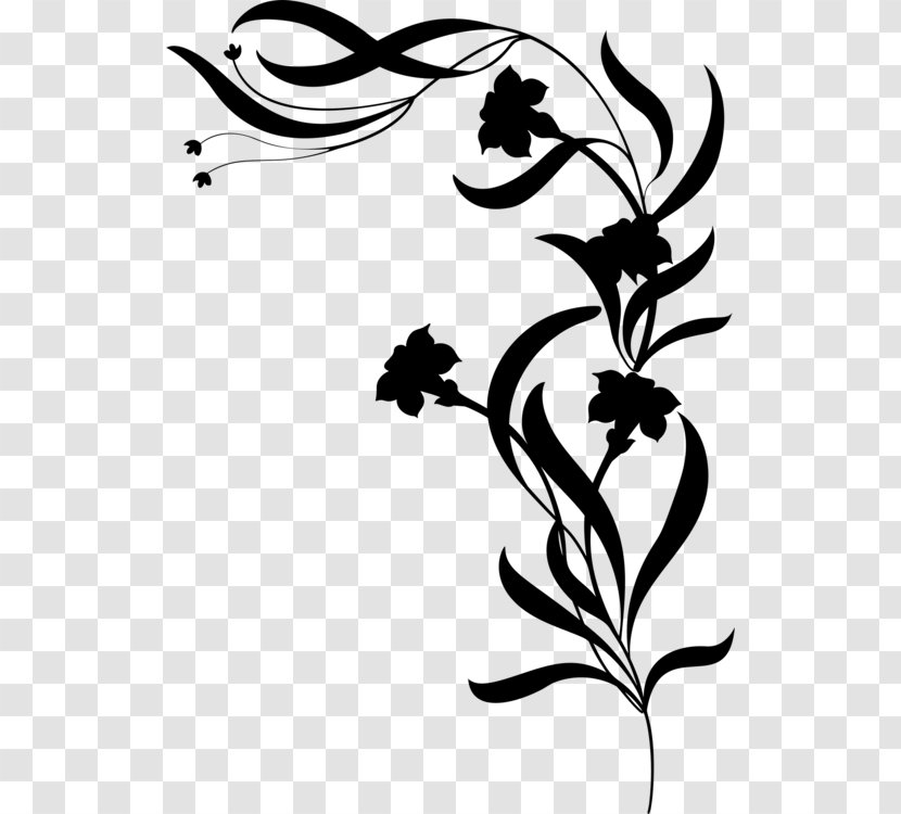 Clip Art Flower Decorative Borders Silhouette Floral Design - How To Draw A Transparent PNG