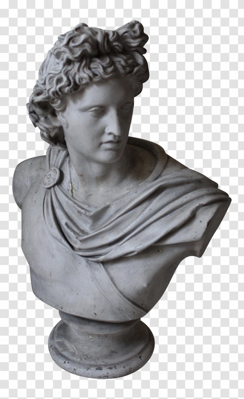 Apollo Belvedere Bust Marble Sculpture Vatican Museums - Statue - Roman Head Transparent PNG