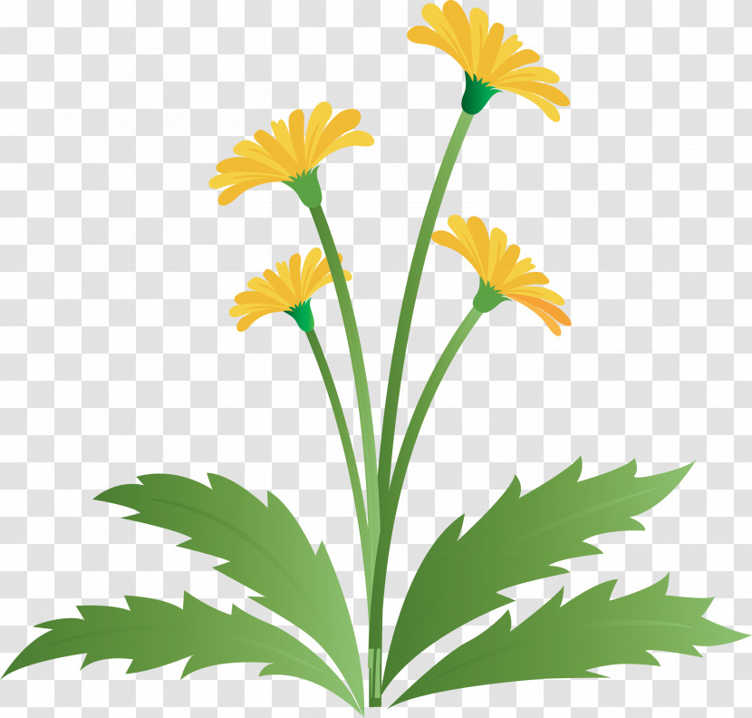 Dandelion Flower Easter Day Flower Spring Flower Transparent PNG