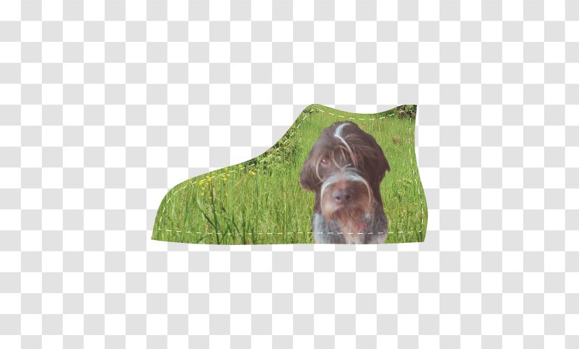 Dog Breed Wirehaired Pointing Griffon German Pointer Sporting Group - Grass - Kids Transparent PNG