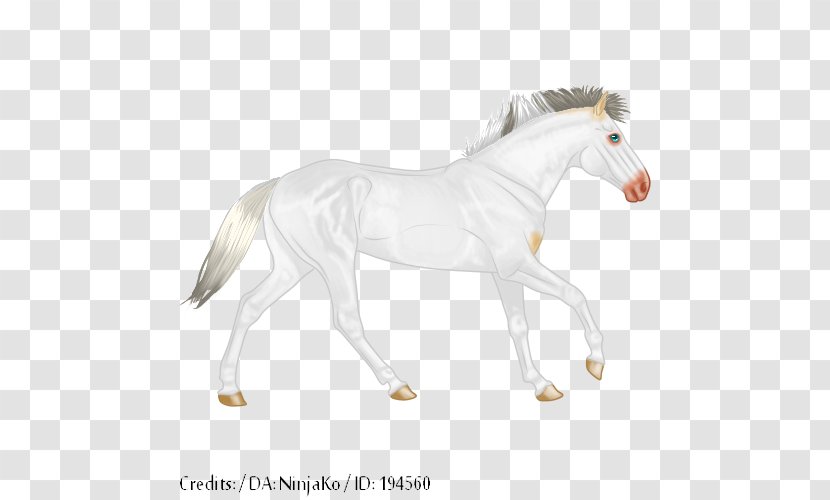 Mustang Foal Stallion Mare Halter - Horse Transparent PNG