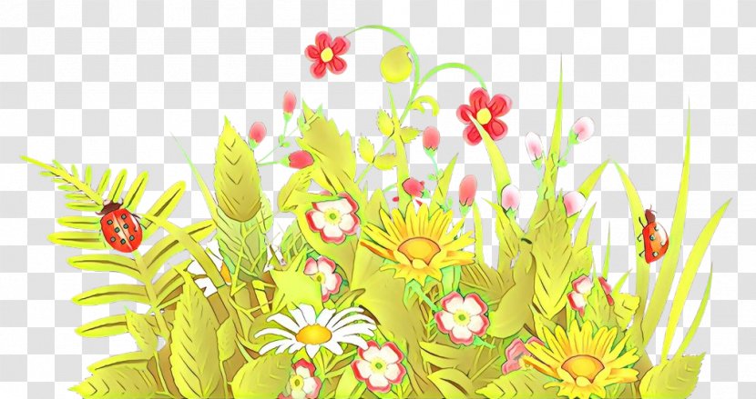 Floral Design Flowering Plant Clip Art - Sunlight - Visual Arts Transparent PNG