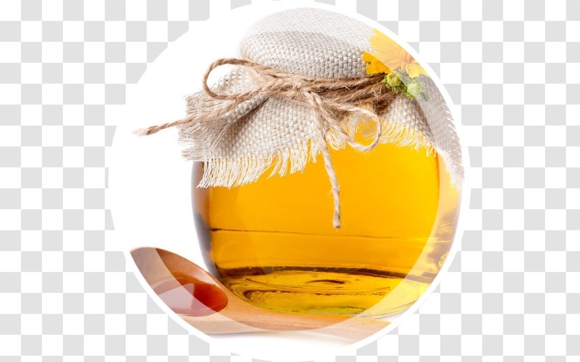 Therapy Honey Disease Medicine Health - Nettles Transparent PNG