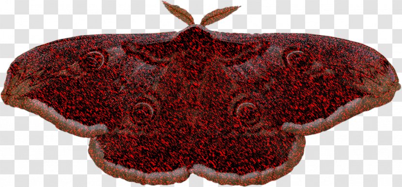 Butterfly Cartoon - Maroon - Symmetry Emperor Moths Transparent PNG