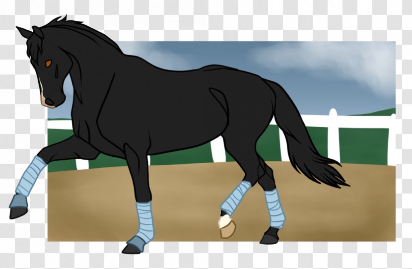 Mane Mustang Stallion Pony Mare - Horse Like Mammal Transparent PNG