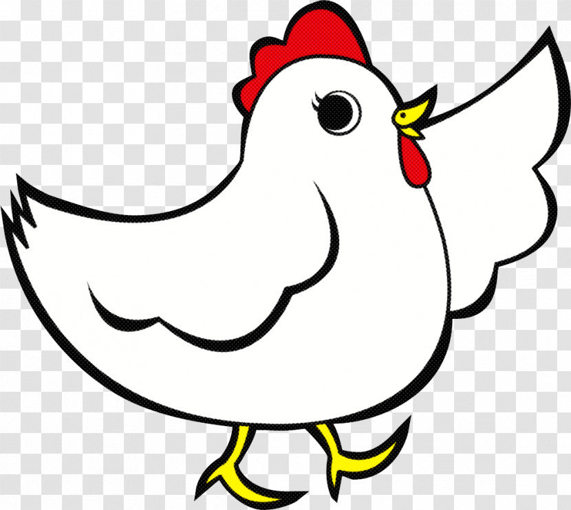 Bird White Beak Chicken Cartoon Transparent PNG