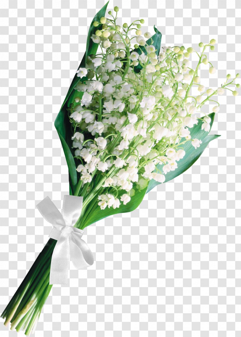 Floral Design Lily Of The Valley - Flower - Muguet Transparent PNG