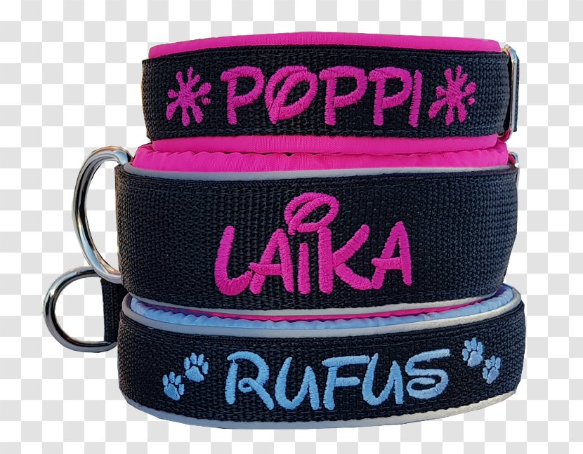 Leash Dog Collar Strap Transparent PNG