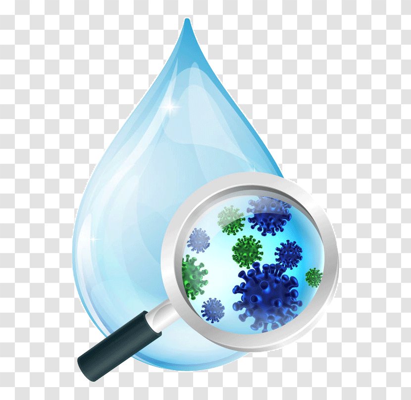 Magnifying Glass Bacteria Gut Flora Microscope - Germ Theory Of Disease - Water Drops Transparent PNG