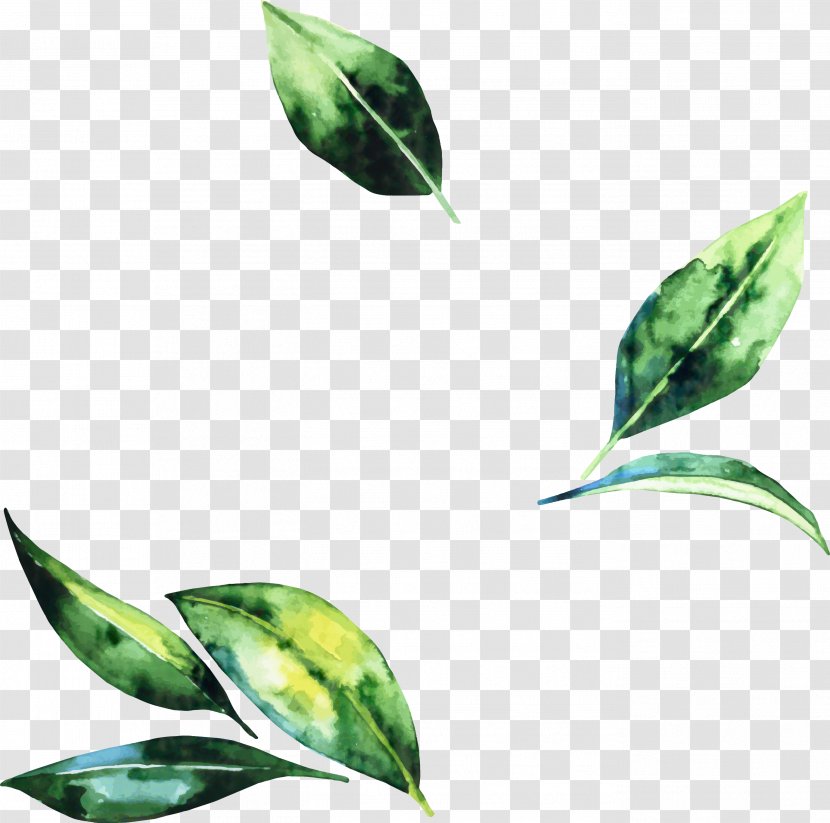 Images Cartoon - Instagram - Flower Plant Transparent PNG