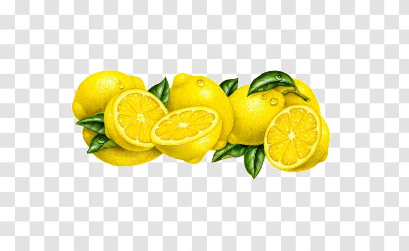 Lemon Fruit Illustrator Illustration - Citron - Gold Deductible Element Transparent PNG