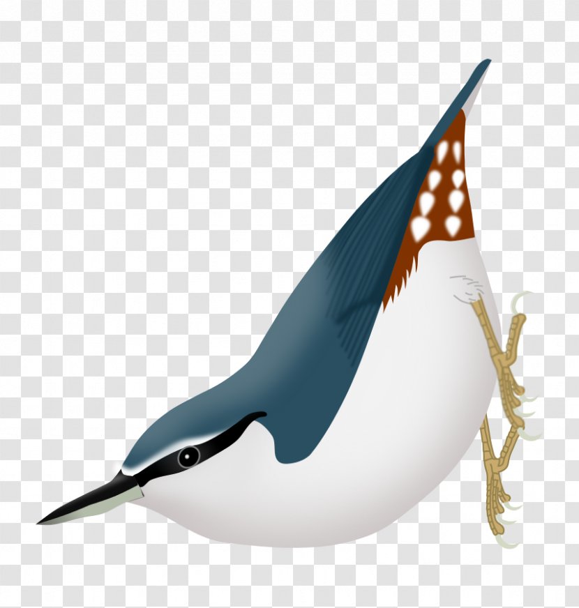 Algerian Nuthatch Mobile Phones Running Chroni Google Now - Marine Mammal - Android Transparent PNG