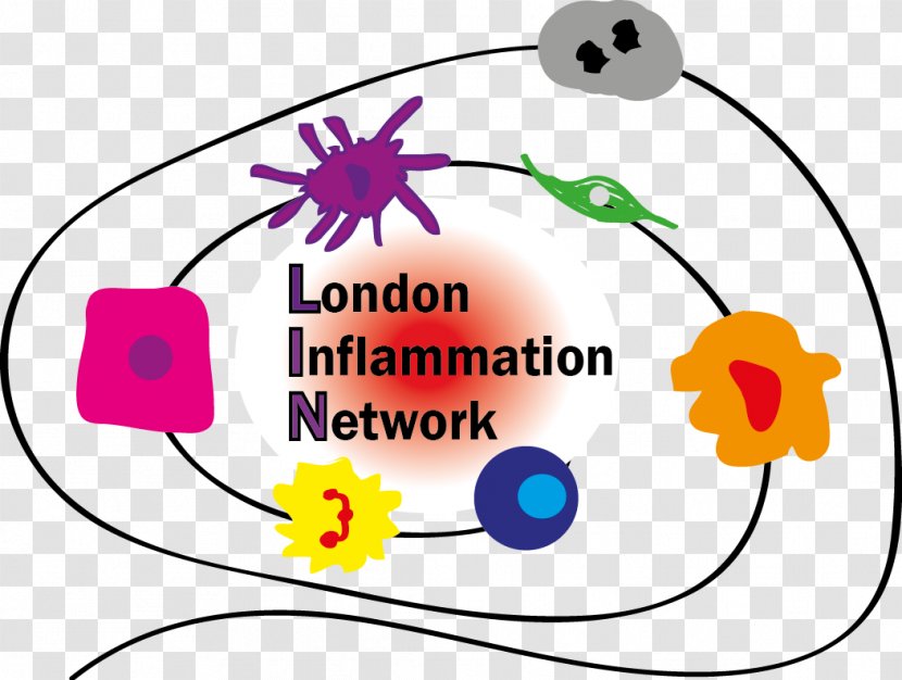 Barts And The London School Of Medicine Dentistry Cancer Institute Queen Mary University Charterhouse Square William Harvey Research - Inflammation Transparent PNG