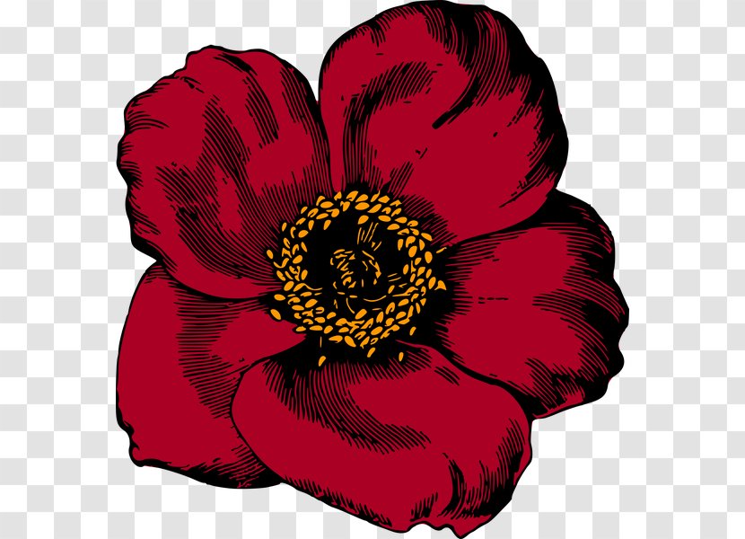 Flower Red Poppy Clip Art Transparent PNG