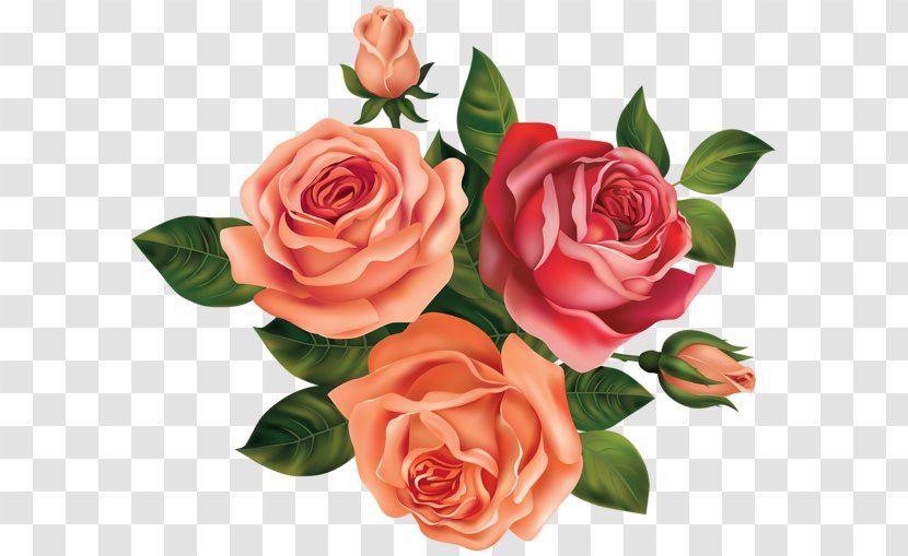 Rose Clip Art - Order - Autumn Colour Transparent PNG