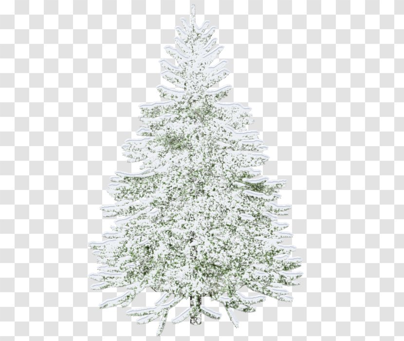 Christmas Tree Light White - Ornament Transparent PNG