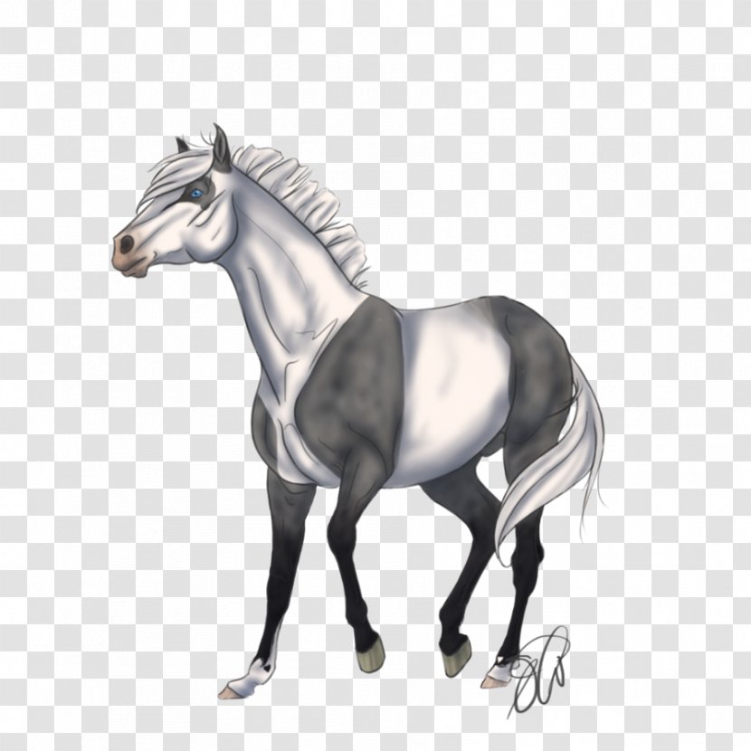 Mane Horse Stallion Mare Ares Lusitani - Fictional Character Transparent PNG