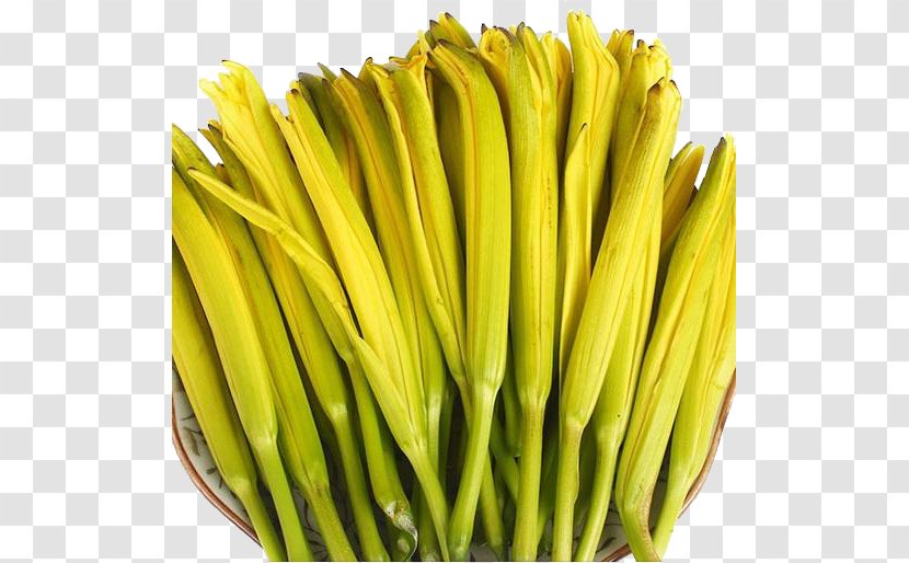 Long Yellow Daylily Hemerocallis Fulva Cauliflower Qidong County, Hunan Vegetable - Common Bean - Fresh Day Lily Transparent PNG