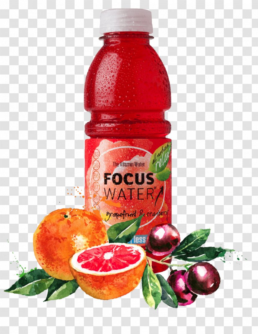 Pomegranate Juice Cranberry Food Pillow Liquid - Water - Fruit In Transparent PNG