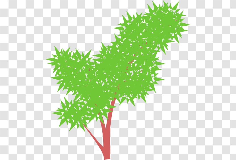 Branch Clip Art Tree Shrub - Flora Transparent PNG