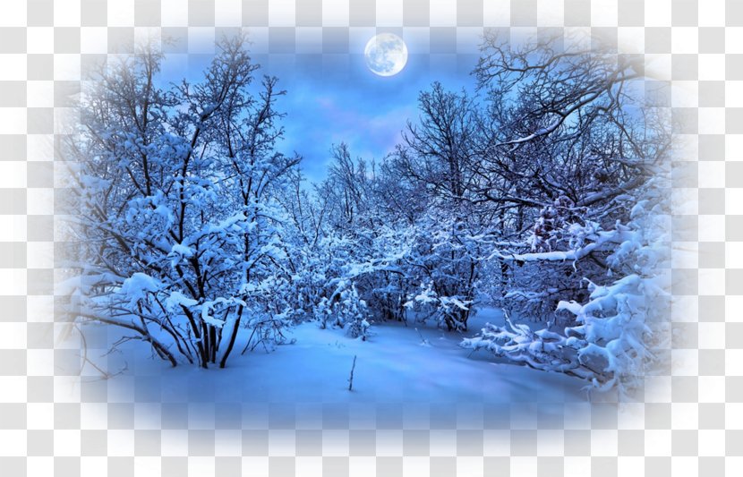 Desktop Wallpaper Winter Night Sky - Full Moon - Natural Landscape Transparent PNG