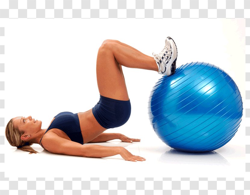 Exercise Balls Pilates Physical Fitness Centre - Cartoon - Yoga Transparent PNG