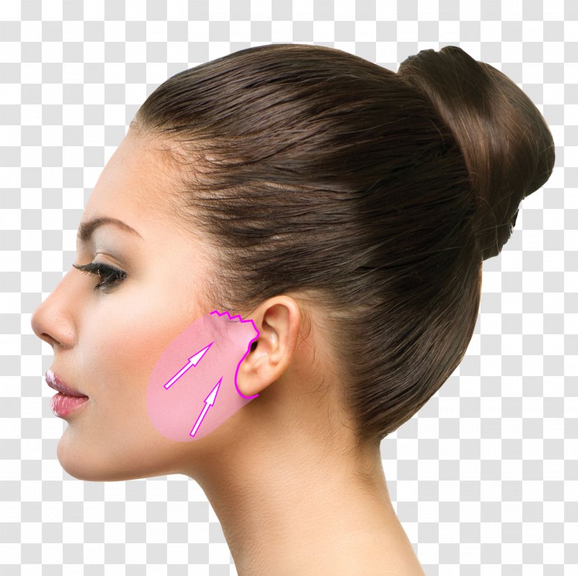Stock Photography Face Profile Of A Person Transparent PNG
