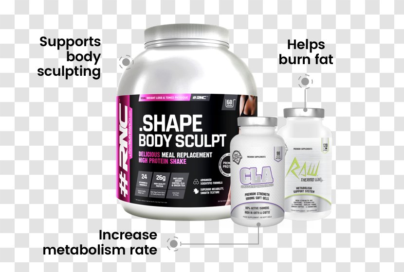 Dietary Supplement Weight Loss Meal Replacement Whey Protein Bodybuilding - Adipose Tissue - ·lose Transparent PNG
