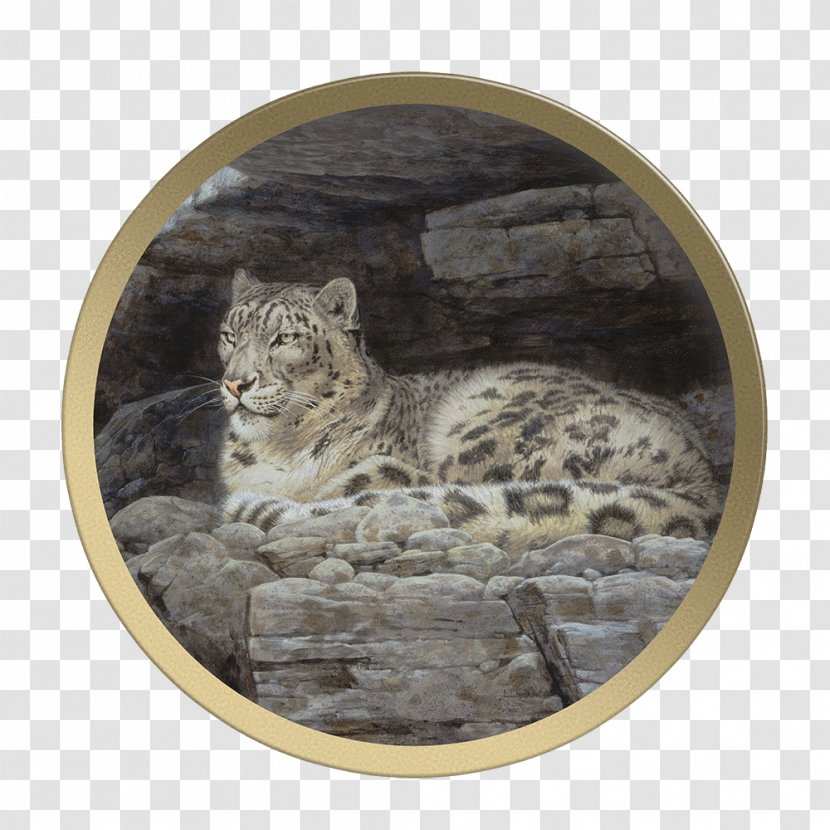 Snow Leopard Felidae Big Cat Guy Coheleach's Animal Art - Book Transparent PNG