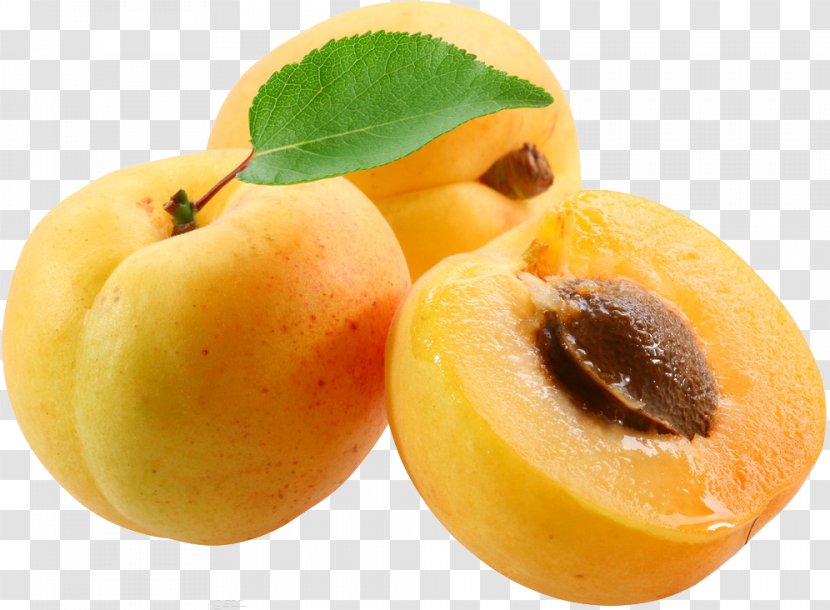 Apricot Kernel Amygdaloideae Peach Fruit - Juice Transparent PNG