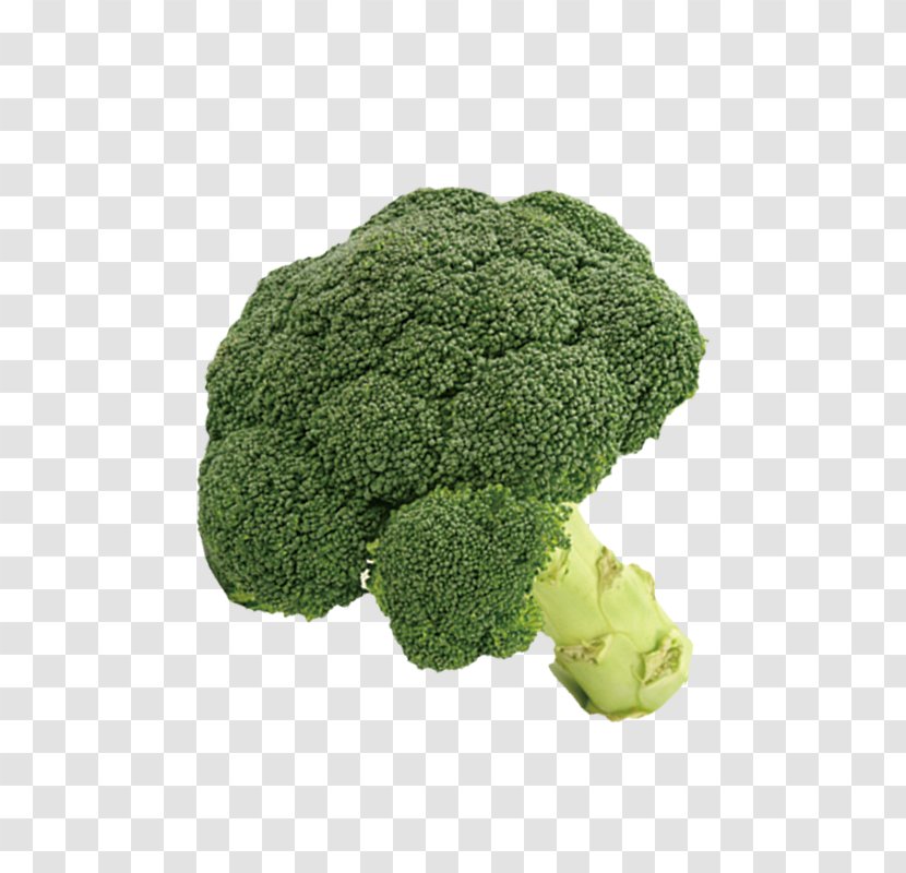Broccoli Cauliflower Vegetable - Tree Transparent PNG