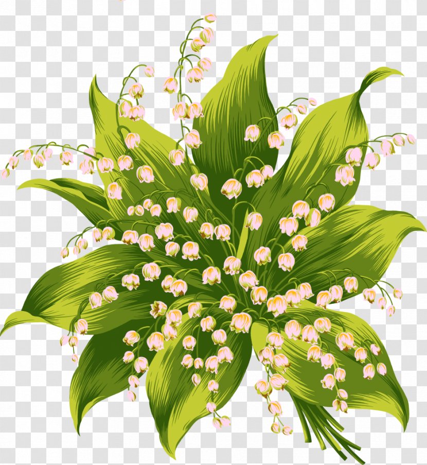 Flower Bud - Petal - Lily Transparent PNG