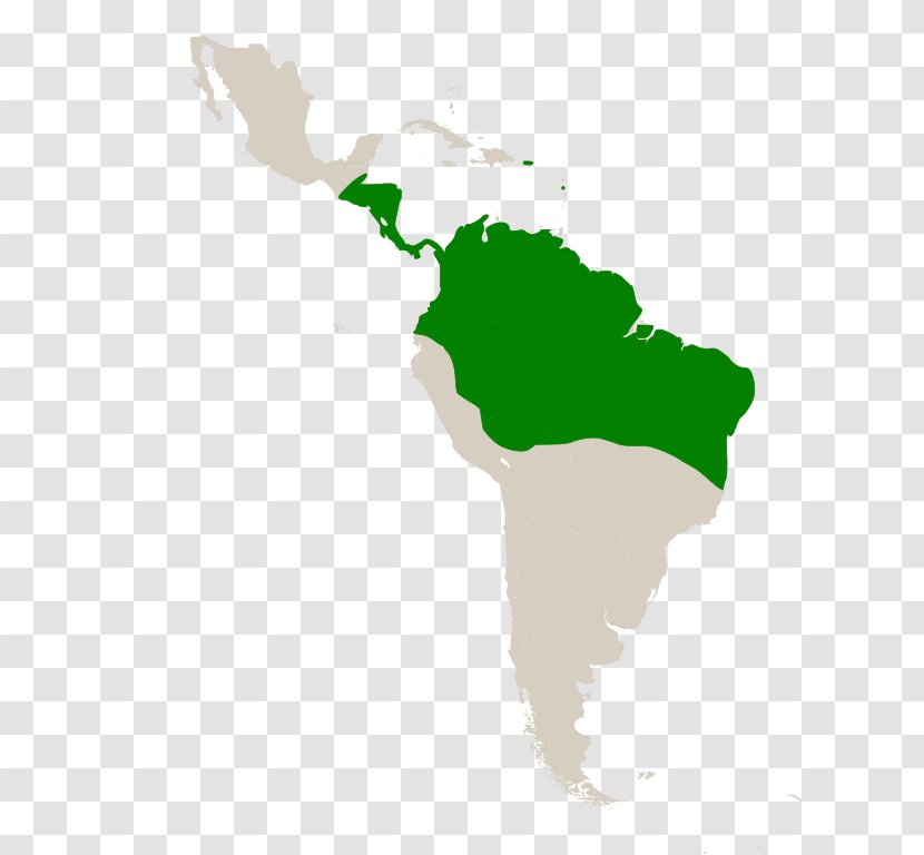 Latin America South Subregion Spanish Colonization Of The Americas - Green - Systematic Botany Transparent PNG