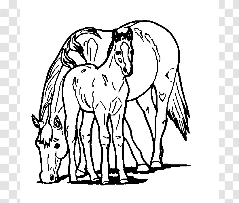 Horse Foal Coloring Book Child Mare - Mammal - Printable Stencils Transparent PNG