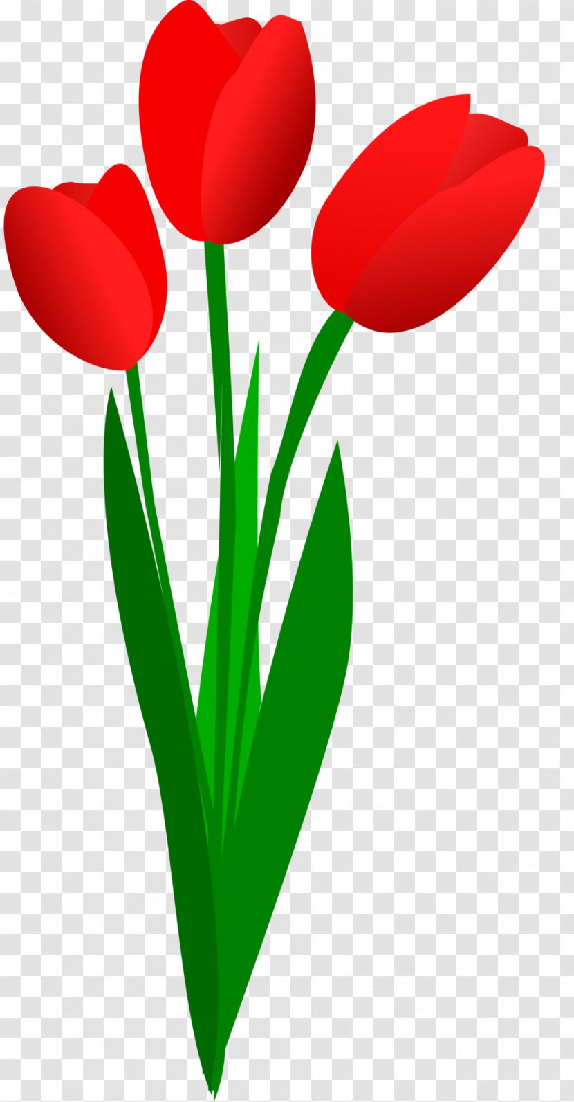 Tulip Free Content Flower Clip Art - Cliparts Bouquet Transparent PNG