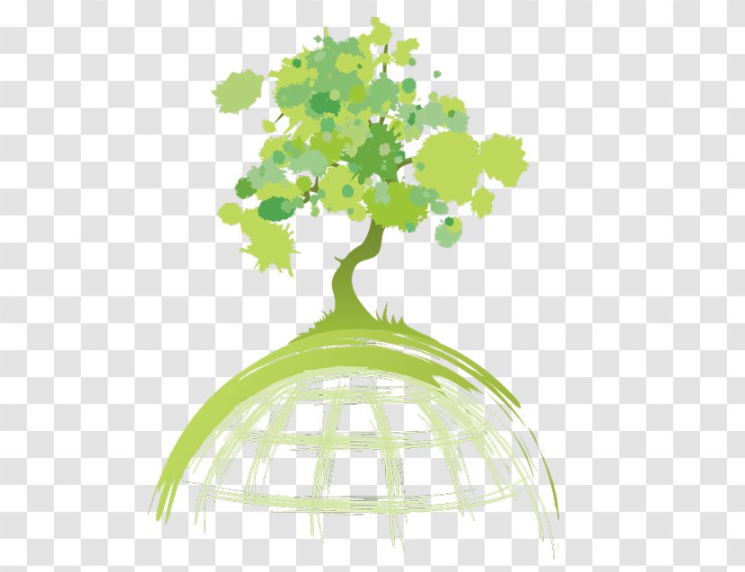 Tree Planting Green Image T-shirt - Flora Transparent PNG