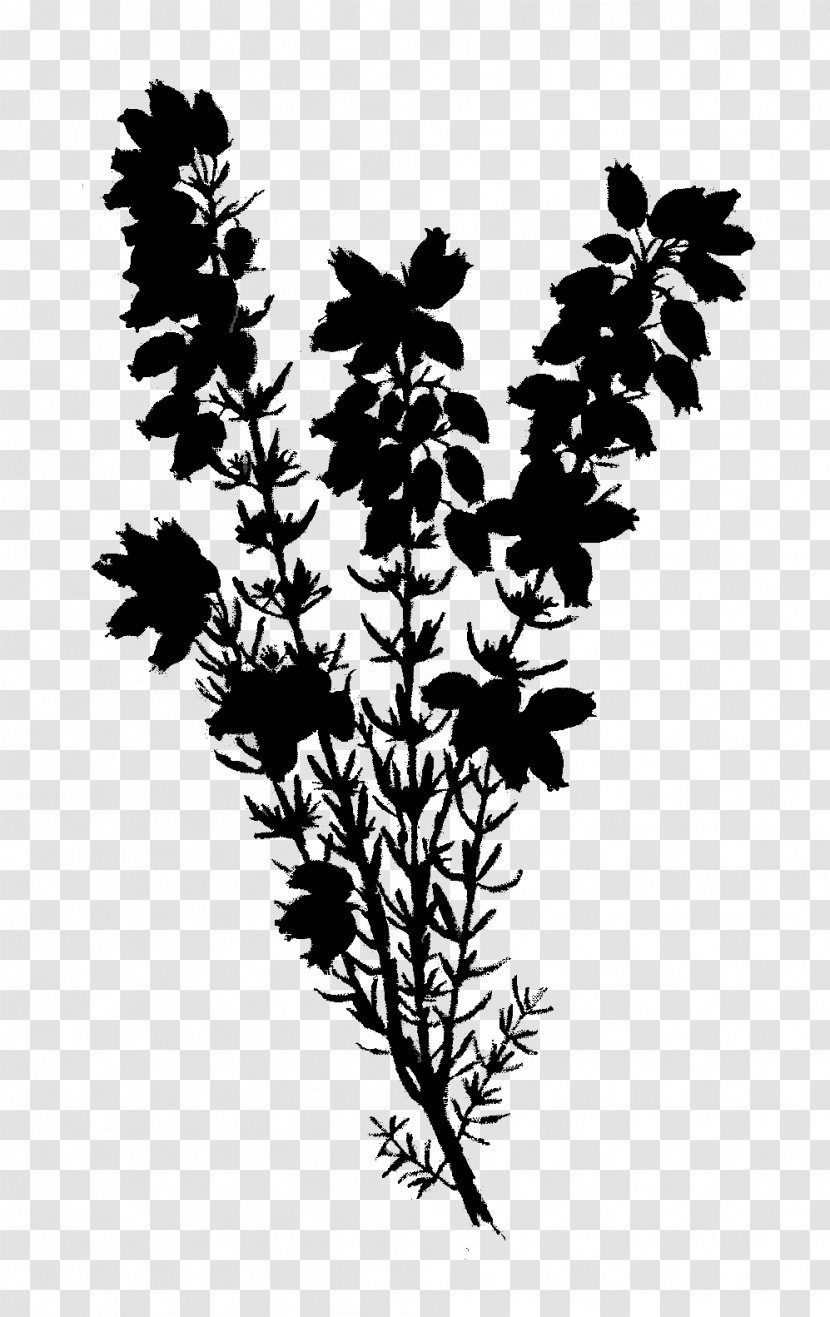Twig Plant Stem Flower Leaf Silhouette - Branch Transparent PNG
